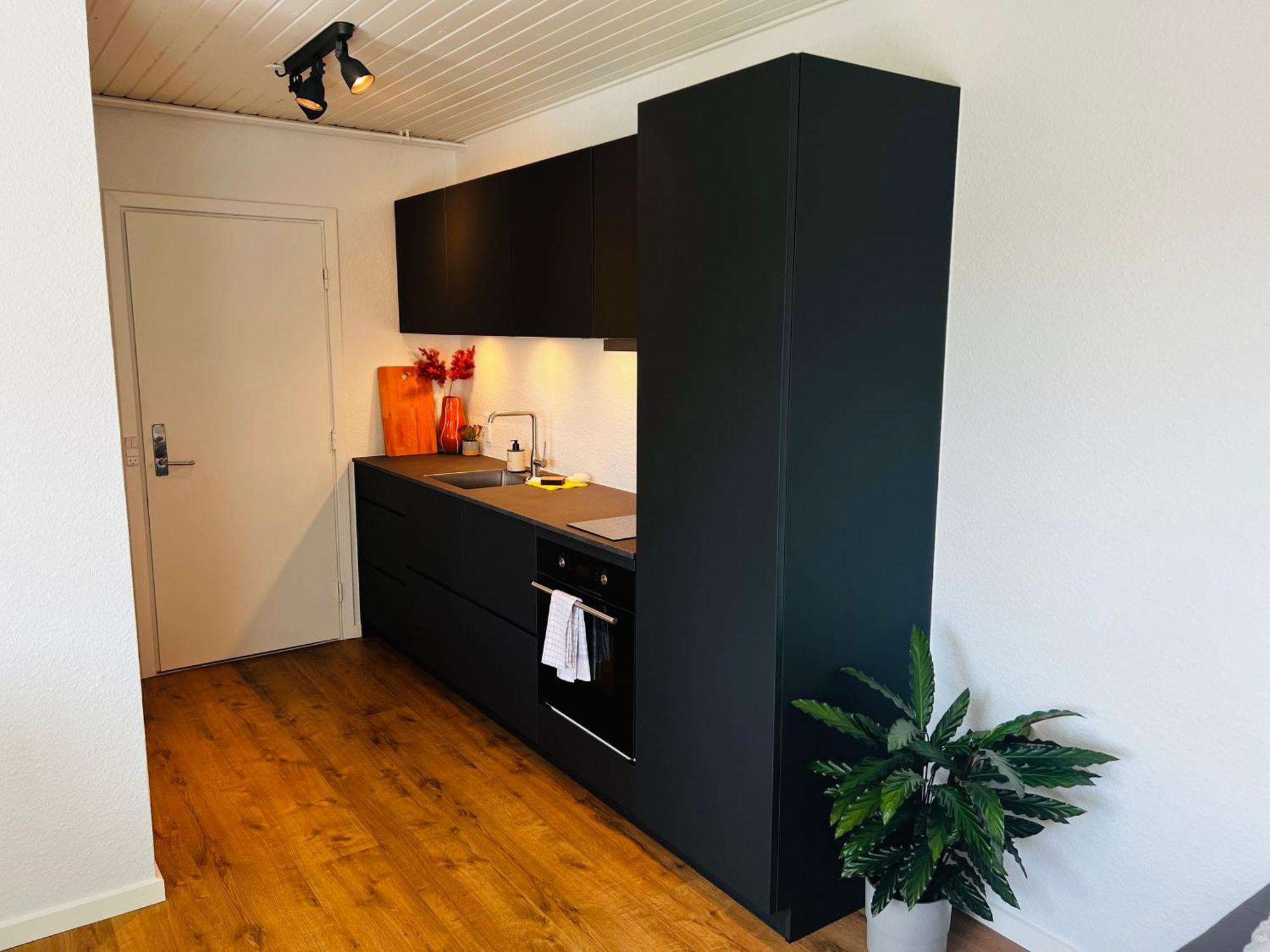 Cozy Flats Silkeborg - 1Th Apartment Exterior photo